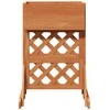 Vertikalus sodinimo trellis Oranžinė 48 x 30 x 70,5 cm