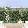 Vestuvinis Arklys Balta 150 x 49,5 x 200 cm Plienas