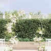 Vestuvinis Arklys Baltas 220 x 45 x 200 cm Plienas