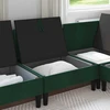 Vidurinė sofa su saugykla Tamsiai žalia Aksomas