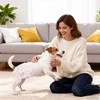 Vienkartinė šuniukų sauskelnė patelėms 30 pcs Baltas S