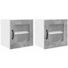 Sieninis stiklinis kabinetas LUCCA 2 pcs Betono pilka
