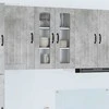 Sieninis stiklinis kabinetas LUCCA Betono pilka 60 x 31 x 80 cm