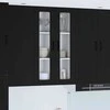 Sieninis stiklinis kabinetas LUCCA Juoda 60 x 31 x 100 cm