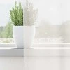 Voile užuolaidos su strypų kišenėmis, 2vnt., baltos spalvos