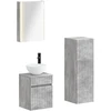Vonios baldų rinkinys 4 pcs Betono pilka