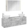 Vonios baldų rinkinys 4 pcs Betono pilka