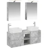 Vonios baldų rinkinys 5 pcs Betono pilka