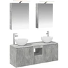 Vonios spintos komplektas 5 pcs Betono pilka 50 x 14,5 x 70 cm