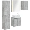 Vonios spintos komplektas 5 pcs Betono pilka 53 x 15,5 x 70 cm