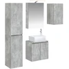 Vonios spintos komplektas 5 pcs Betono pilka 50 x 14,5 x 70 cm