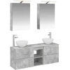 Vonios spintos komplektas 5 pcs Betono pilka 50 x 14,5 x 70 cm