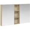 Vonios spintos komplektas su lentyna 3 pcs 100 x 10,5 x 60,5 cm