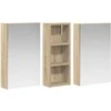 Vonios spintos komplektas su lentyna 3 pcs 80 x 10,5 x 50 cm
