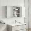 Vonios spintos komplektas su lentyna 3 pcs 100 x 10,5 x 50 cm