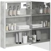 Vonios veidrodžio spinta Betono pilka 43 x 11,5 x 60,5 cm