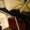 Helovino voro dekoracija su voratinkliais 4 pcs Juoda ir balta