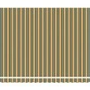 Ištraukiama markizė Žalia ir balta 400 × 350 cm