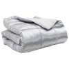 Žiemos antklodė Sidabro 135 x 200 cm Satin ir mikropluoštas