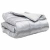 Žiemos antklodė Sidabro 155 x 220 cm Satin ir mikropluoštas