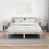 Žurnalinis staliukas 2 pcs Betono pilka 30,5 x 30 x 45 cm