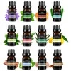 Naturalus eterinių aliejų rinkinys Bohomi Home Spa 100% Pure 12 x 10ml