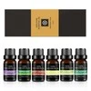 Natūralūs eterinių aliejų rinkinys Bohomi Home Spa 100% Pure 6 x 10ml