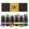 Natūralūs eterinių aliejų rinkinys Bohomi Home Spa 100% Pure 6 x 10ml