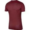 Vaikiški marškinėliai bordo spalvos Nike Dry Park VII JSY SS BV6741 677