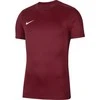 Vaikiški marškinėliai bordo spalvos Nike Dry Park VII JSY SS BV6741 677