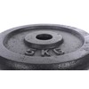 Metalinis diskas štangoms ir hanteliams 5kg (31,5mm)