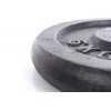 Metalinis diskas štangoms ir hanteliams 5kg (31,5mm)