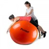 Pezzi Italija Gimnastikos Kamuolys Original PEZZI Physioball 120cm, Oranžinis
