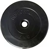 Svoris Grifui Tomaz Sport 5kg su Cementiniu Užpildu 29,5mm.