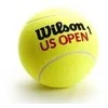 WILSON US OPEN teniso kamuoliukai (3)