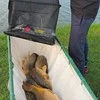 Tinklas NYTRO KEEPNET CARP MESH 3000