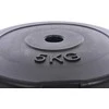Tomaz Sport Cementinis svorio diskas grifams Ir ganteliams 5kg (31,5mm)