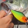 Vobleris Banshee Crankbait 58mm 9g VKR01-58 Citrus Tiger, Plūdrus