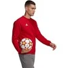 Vyriški sportiniai marškinėliai, raudoni HB0577 adidas Entrada 22