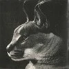 Disclosure - Caracal CD