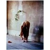 Vinilinė plokštelė - Florence And The Machine - High As Hope 1LP