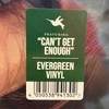 Vinilinė plokštelė - Jennifer Lopez - This Is Me... Now (Evergreen Coloured)