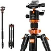 K&amp;F Concept K254A3 trikojis su BH-28L rutuline galvute