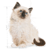 Royal Canin FHN Cat Kitten Instinctive Loaf 12x85 g