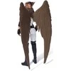 DC Comics Hawkgirl Superman didelė figūrėlė lėlė 30 cm