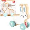 Mattel FISHER-PRICE stumdomas medinis žaislas – Triušiukas (JDM52)