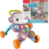 Mattel FP chodzik interaktywny Małpka violetinė JGW90 /2
