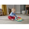 Fisher Price Montessori aktyvumo žaislas vaikams, traukiantis, slystantis ir spaudžiantis vabzdžius