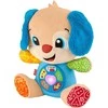 Fisher Price Interaktyvus talismanas šuniukas moksleivis (lenk./angl./cz/sl./hu)