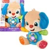 Fisher Price Interaktyvus talismanas šuniukas moksleivis (lenk./angl./cz/sl./hu)